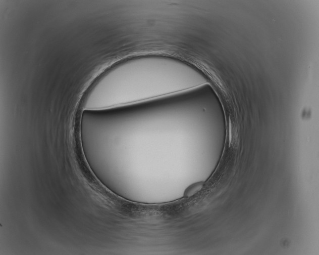 X0000097620483200802290823