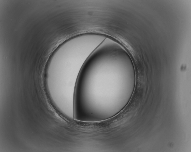 X0000097620485200802290823