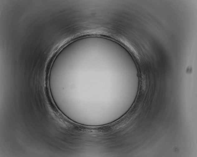 X0000097620486200802290823