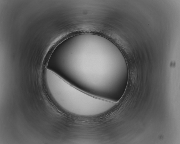 X0000097620488200802290823