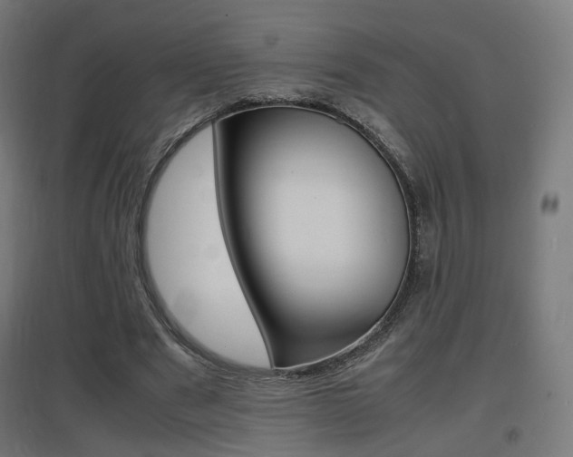 X0000097620489200802290823
