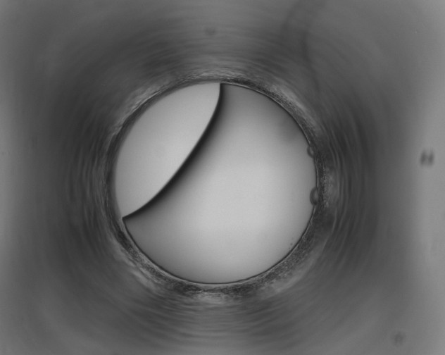 X0000097620490200802290823