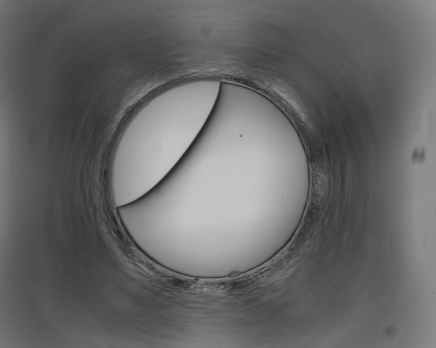 X0000097620491200802290823