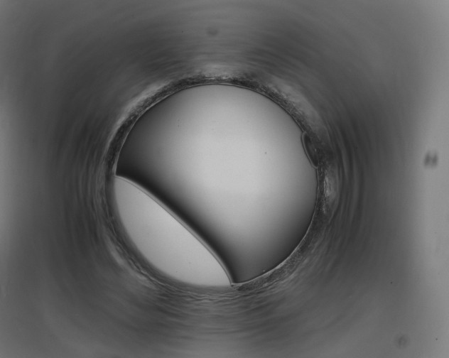 X0000097620492200802290823