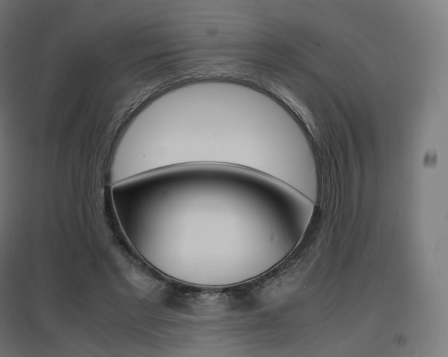 X0000097620493200802290823