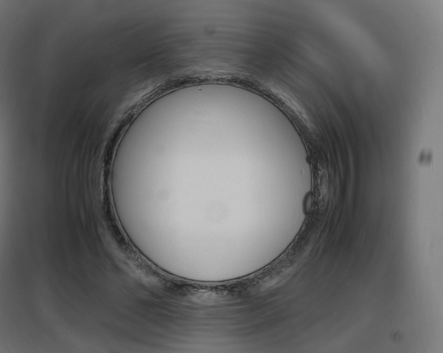 X0000097620494200802290823