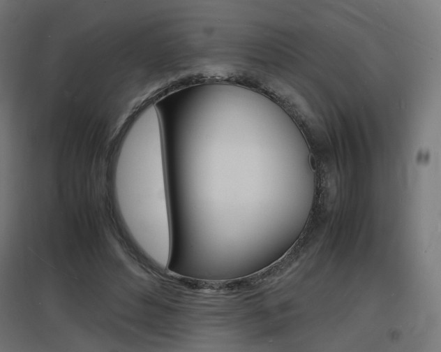 X0000097620496200802290823