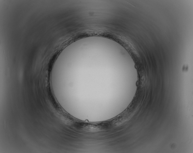 X0000097620498200802290823