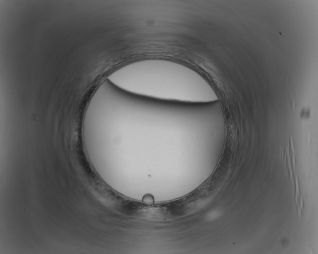 X0000097620499200802290823