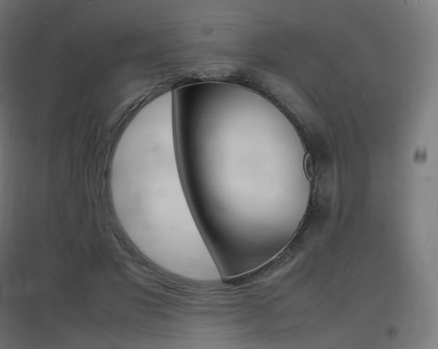 X0000097620501200802290823