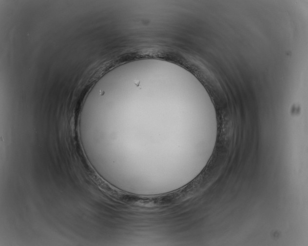 X0000097620502200802290823
