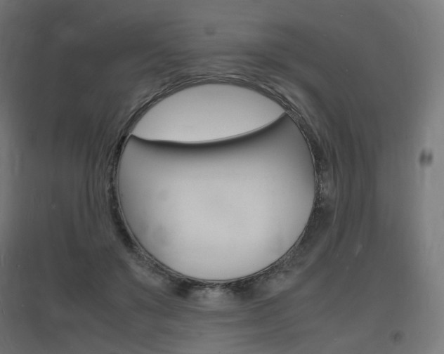X0000097620503200802290823