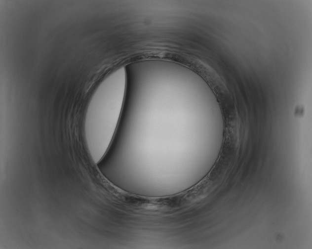 X0000097620504200802290823