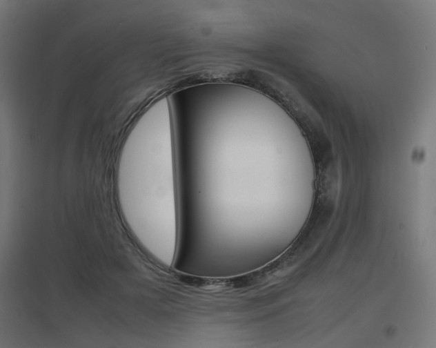 X0000097620505200802290823