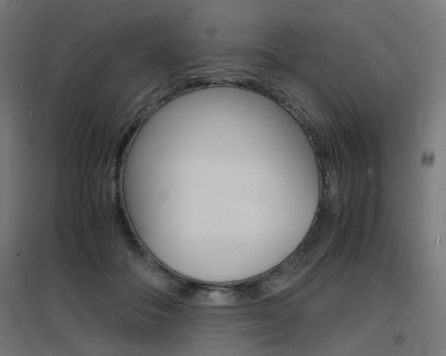 X0000097620506200802290823