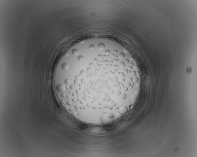 X0000097620507200802290823