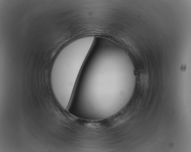 X0000097620508200802290823