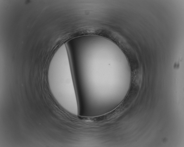 X0000097620509200802290823