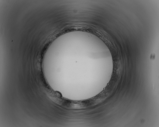 X0000097620510200802290823