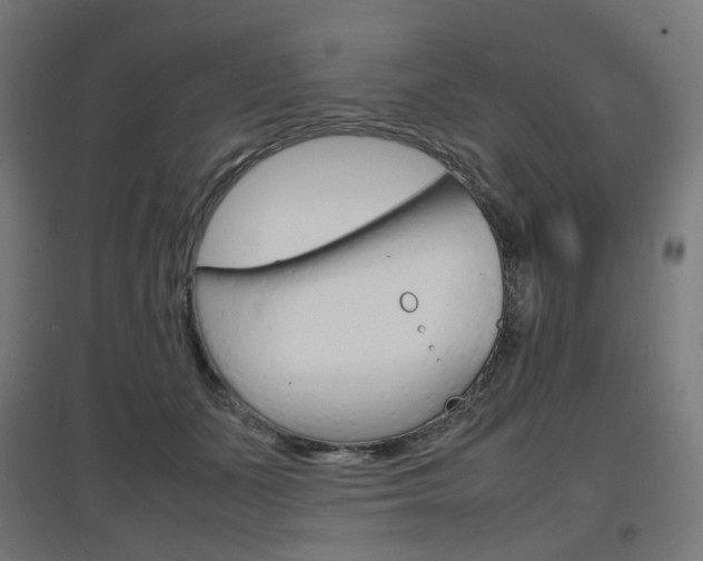X0000097620511200802290823