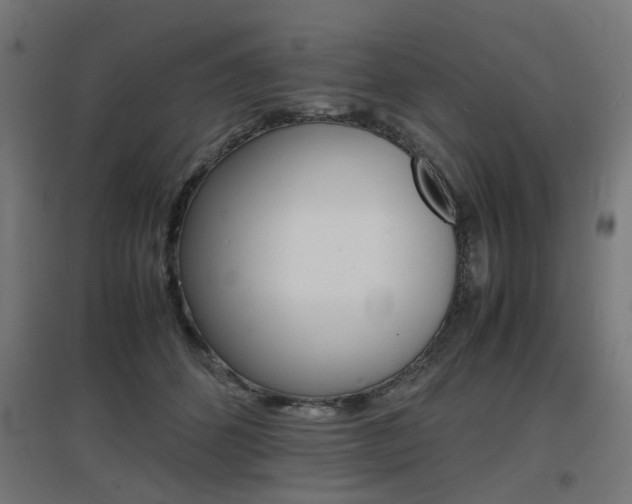 X0000097620512200802290823