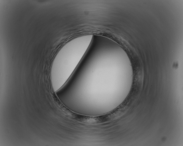 X0000097620513200802290823