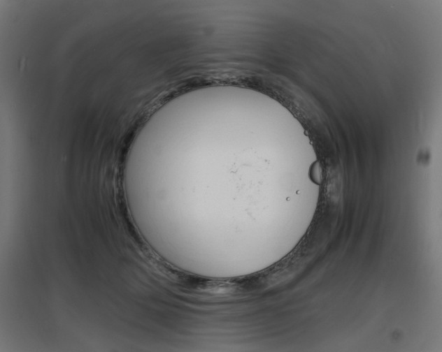 X0000097620514200802290823