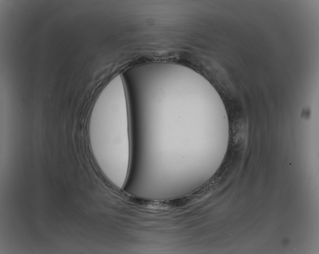 X0000097620515200802290823