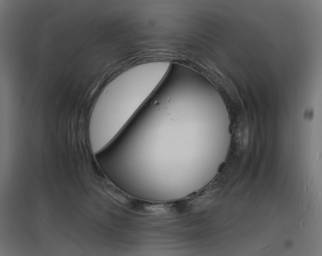 X0000097620516200802290823