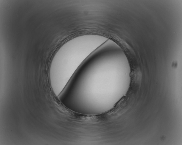X0000097620517200802290823