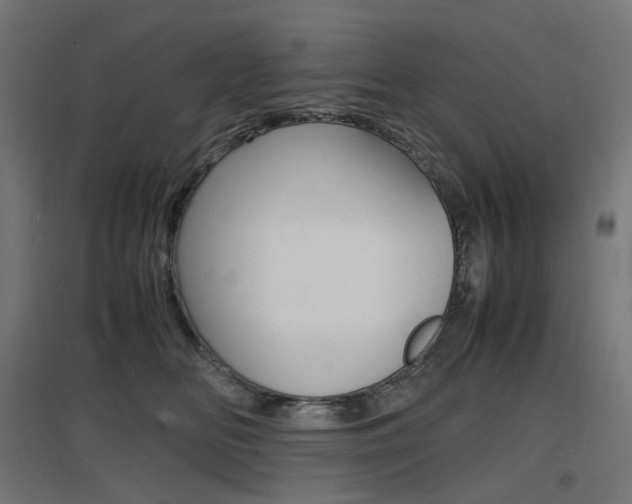 X0000097620518200802290823