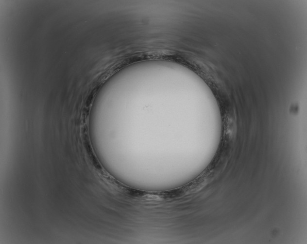 X0000097620519200802290823