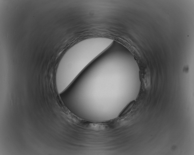 X0000097620520200802290823