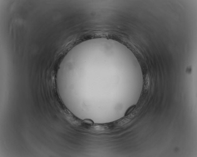 X0000097620522200802290823