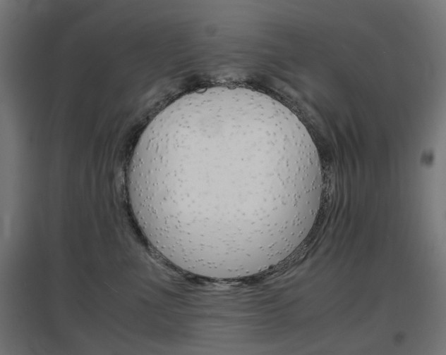 X0000097620523200802290823