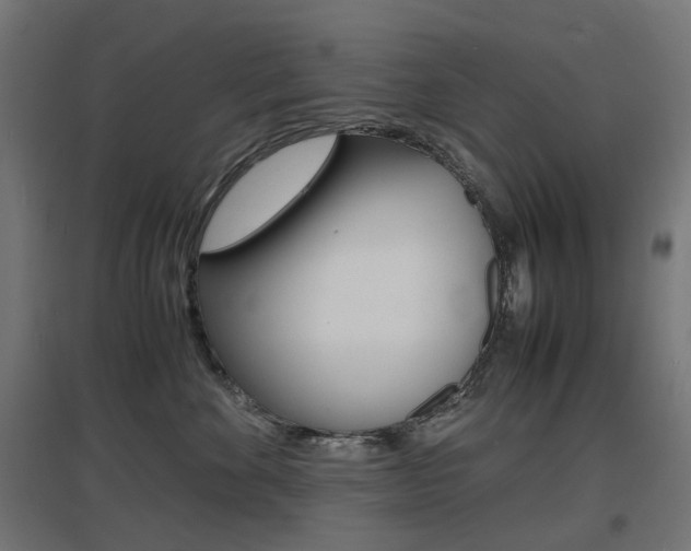 X0000097620524200802290823