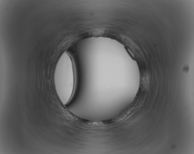 X0000097620525200802290823