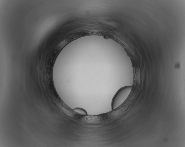 X0000097620526200802290823