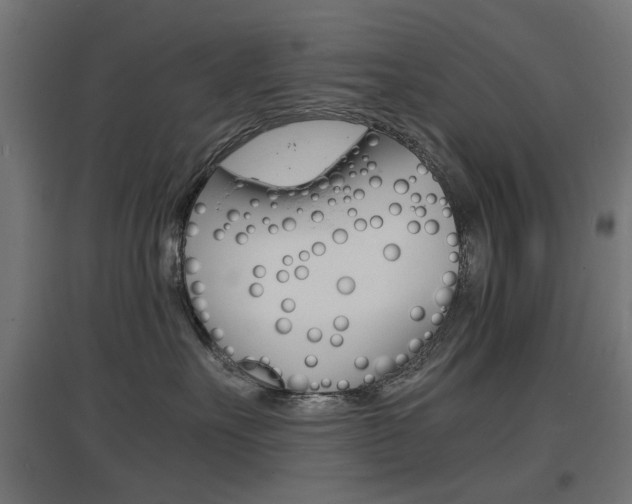 X0000097620527200802290823