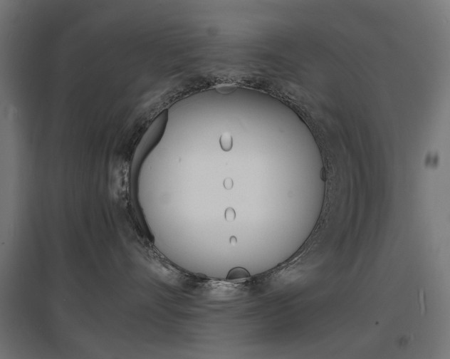 X0000097620528200802290823