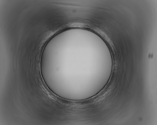 X0000097620529200802290822