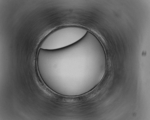 X0000097620533200802290822