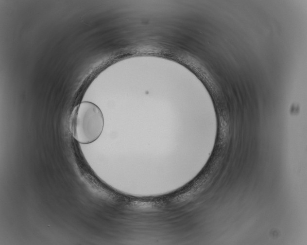 X0000097620534200802290822