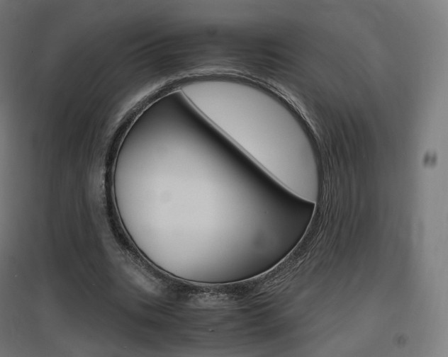X0000097620535200802290822