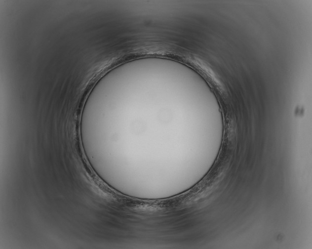 X0000097620537200802290822