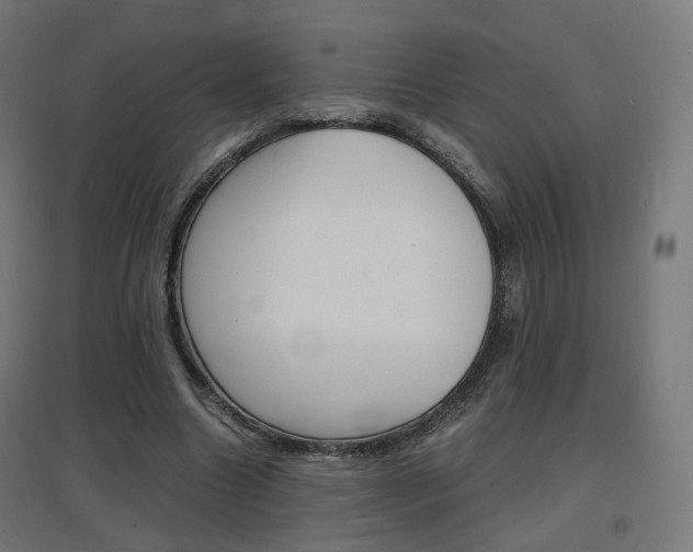X0000097620538200802290822