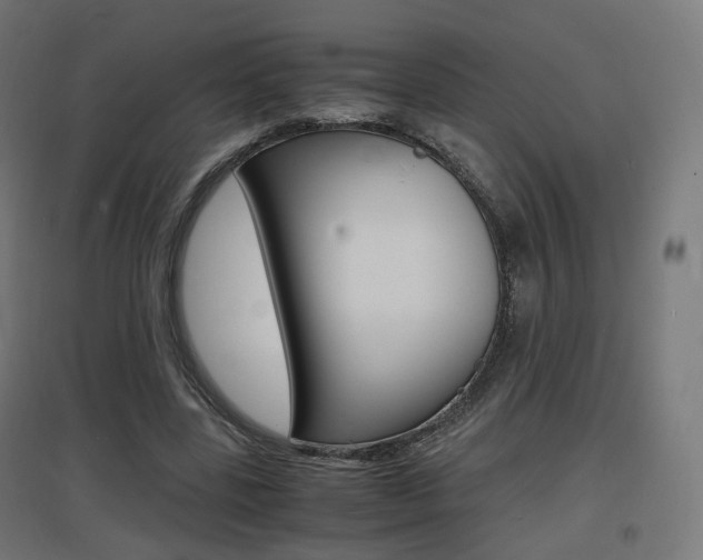 X0000097620539200802290822