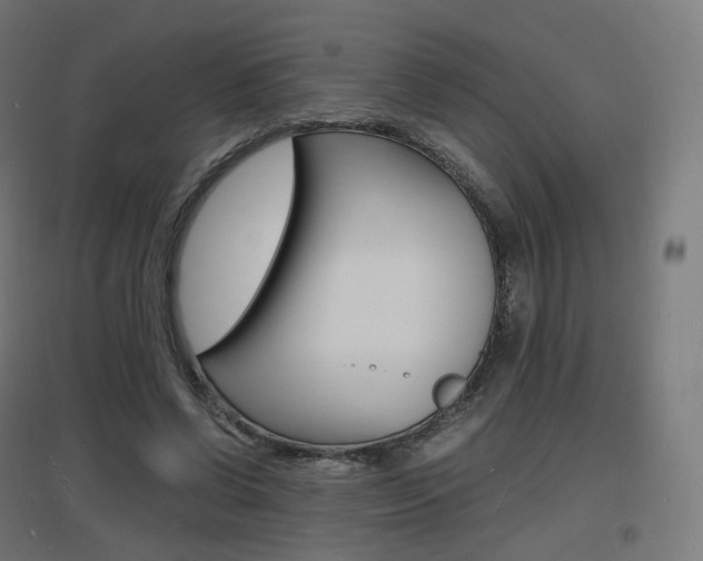 X0000097620542200802290822