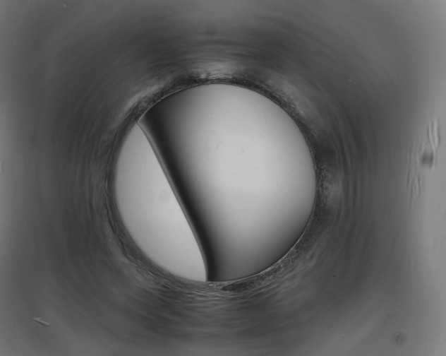 X0000097620543200802290822