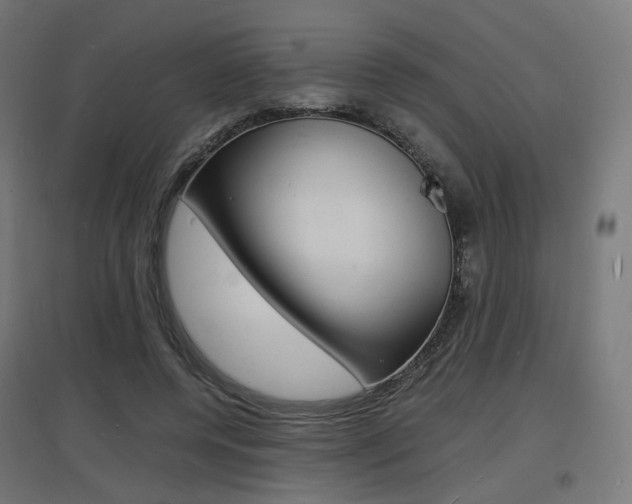 X0000097620544200802290822
